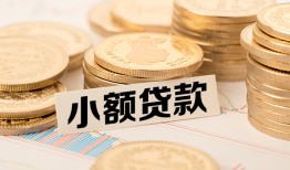 东莞22空放-东莞22个人短借-东莞22身份证小额贷款