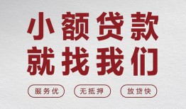 东莞22私借空放当场拿钱-东莞22快速借钱-东莞22短借公证