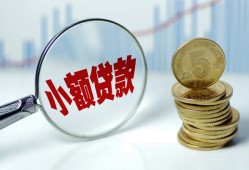 东莞22哪里可以小额贷款-东莞22哪里有民间借贷-东莞22民间短期私借借款