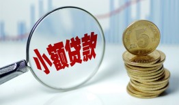 东莞22哪里可以小额贷款-东莞22哪里有民间借贷-东莞22民间短期私借借款